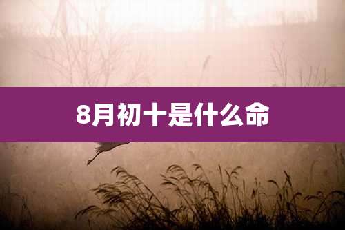 8月初十是什么命