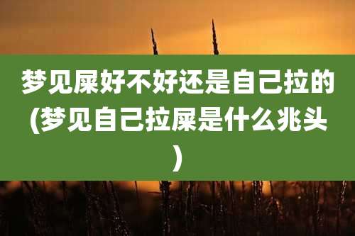 梦见屎好不好还是自己拉的(梦见自己拉屎是什么兆头)