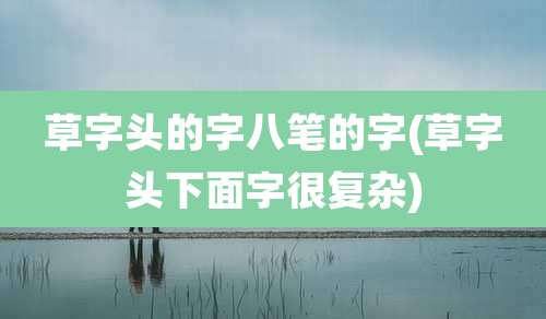 草字头的字八笔的字(草字头下面字很复杂)