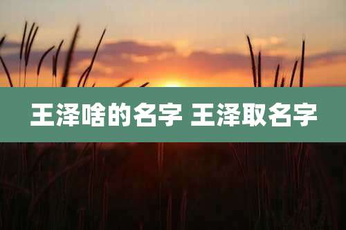 王泽啥的名字 王泽取名字