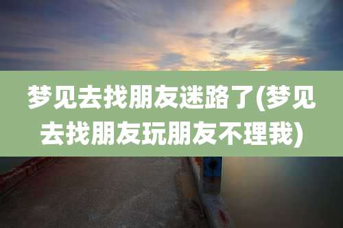 梦见去找朋友迷路了(梦见去找朋友玩朋友不理我)