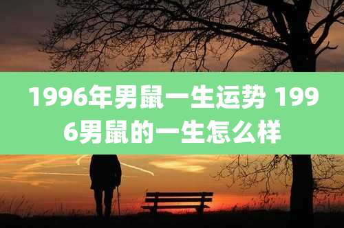 1996年男鼠一生运势 1996男鼠的一生怎么样
