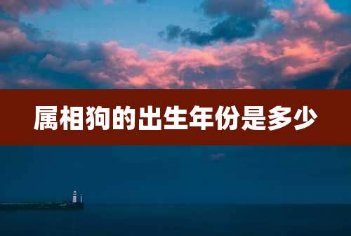 属相狗的出生年份是多少