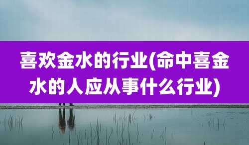 喜欢金水的行业(命中喜金水的人应从事什么行业)