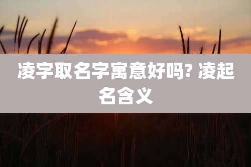 凌字取名字寓意好吗? 凌起名含义