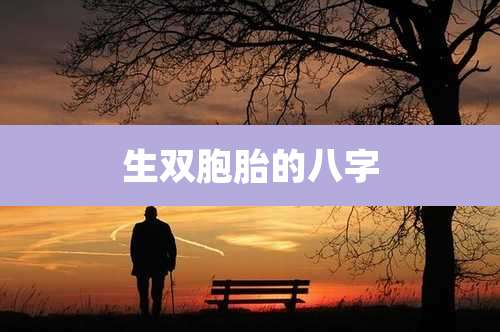 生双胞胎的八字