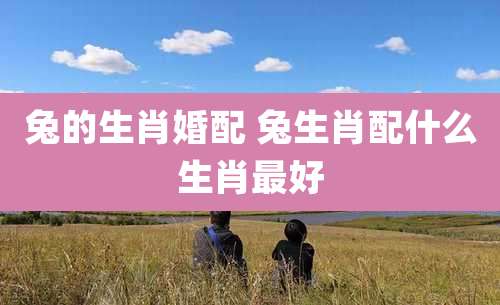 兔的生肖婚配 兔生肖配什么生肖最好