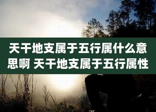 天干地支属于五行属什么意思啊 天干地支属于五行属性