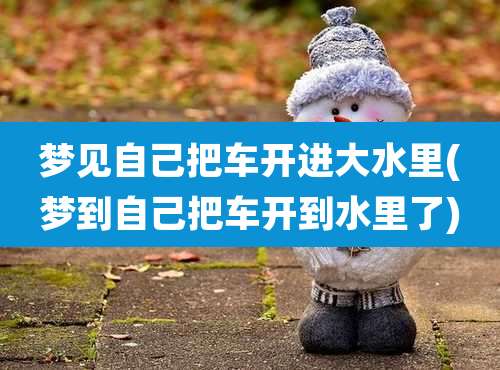 梦见自己把车开进大水里(梦到自己把车开到水里了)