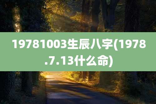19781003生辰八字(1978.7.13什么命)