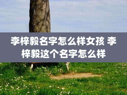 李梓毅名字怎么样女孩 李梓毅这个名字怎么样