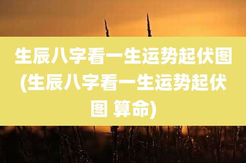 生辰八字看一生运势起伏图(生辰八字看一生运势起伏图 算命)