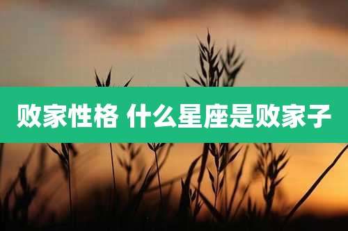 败家性格 什么星座是败家子