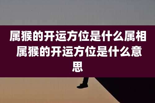 属猴的开运方位是什么属相 属猴的开运方位是什么意思