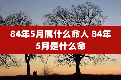 84年5月属什么命人 84年5月是什么命