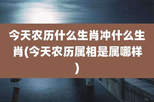 今天农历什么生肖冲什么生肖(今天农历属相是属哪样)
