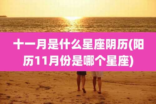十一月是什么星座阴历(阳历11月份是哪个星座)
