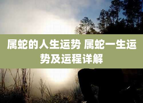 属蛇的人生运势 属蛇一生运势及运程详解