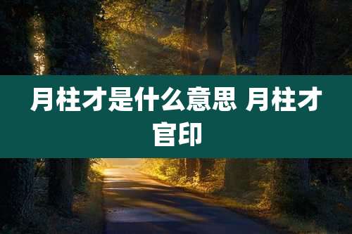 月柱才是什么意思 月柱才官印