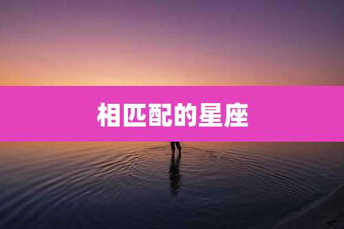 相匹配的星座