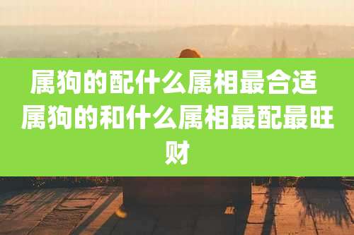 属狗的配什么属相最合适 属狗的和什么属相最配最旺财