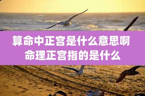 算命中正宫是什么意思啊 命理正宫指的是什么