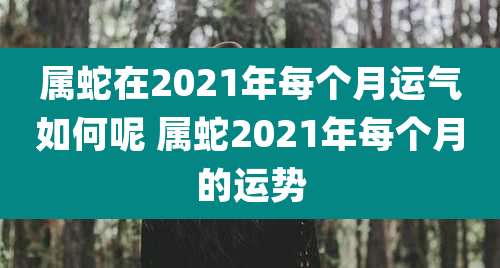 属蛇在2021年每个月运气如何呢 属蛇2021年每个月的运势