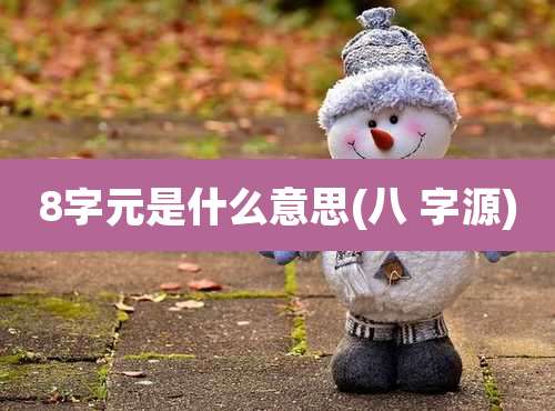 8字元是什么意思(八 字源)