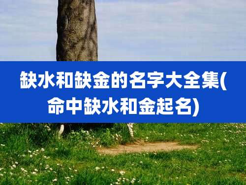 缺水和缺金的名字大全集(命中缺水和金起名)