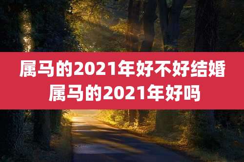 属马的2021年好不好结婚 属马的2021年好吗