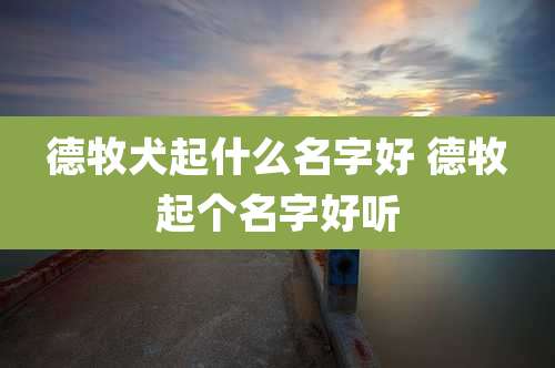 德牧犬起什么名字好 德牧起个名字好听