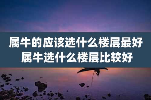 属牛的应该选什么楼层最好 属牛选什么楼层比较好
