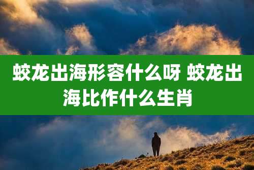 蛟龙出海形容什么呀 蛟龙出海比作什么生肖