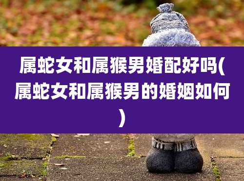 属蛇女和属猴男婚配好吗(属蛇女和属猴男的婚姻如何)