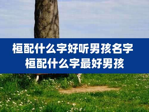桓配什么字好听男孩名字 桓配什么字最好男孩