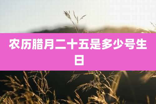 农历腊月二十五是多少号生日