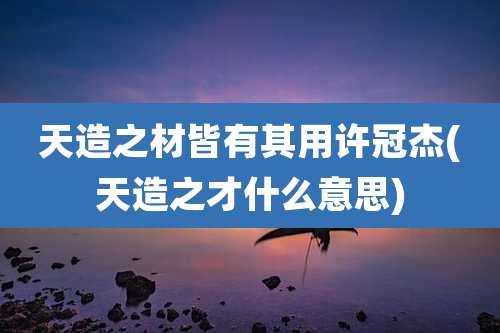 天造之材皆有其用许冠杰(天造之才什么意思)
