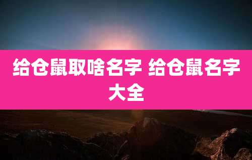 给仓鼠取啥名字 给仓鼠名字大全