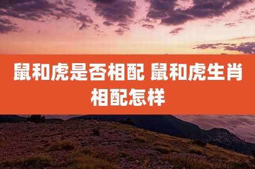 鼠和虎是否相配 鼠和虎生肖相配怎样