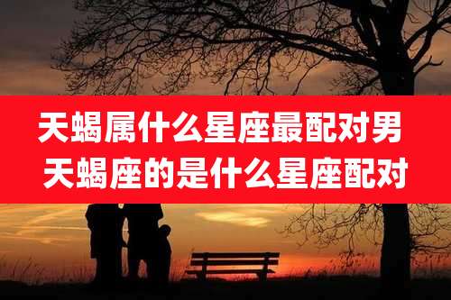 天蝎属什么星座最配对男 天蝎座的是什么星座配对