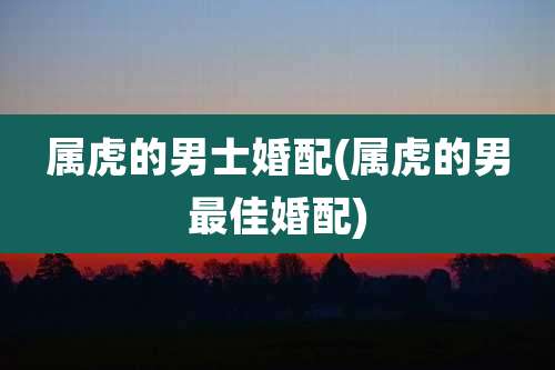 属虎的男士婚配(属虎的男最佳婚配)