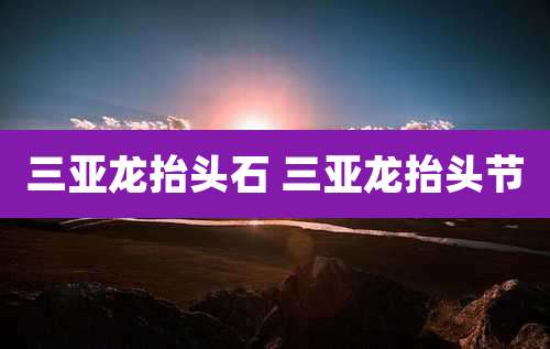 三亚龙抬头石 三亚龙抬头节