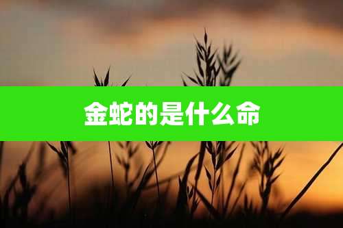金蛇的是什么命