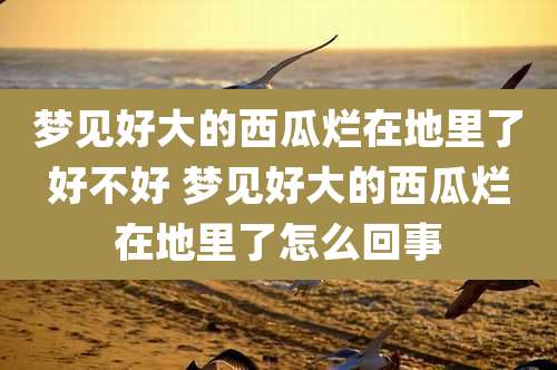 梦见好大的西瓜烂在地里了好不好 梦见好大的西瓜烂在地里了怎么回事