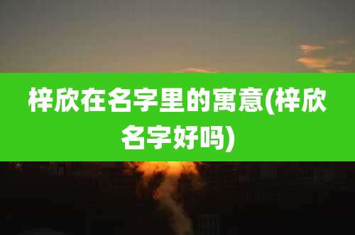 梓欣在名字里的寓意(梓欣名字好吗)