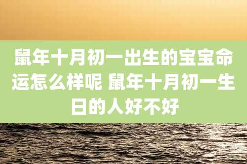 鼠年十月初一出生的宝宝命运怎么样呢 鼠年十月初一生日的人好不好
