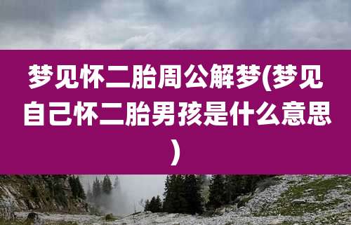 梦见怀二胎周公解梦(梦见自己怀二胎男孩是什么意思)