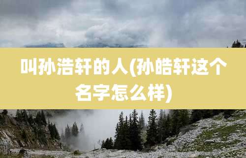 叫孙浩轩的人(孙皓轩这个名字怎么样)