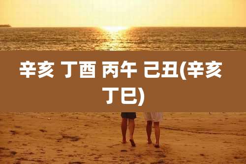 辛亥 丁酉 丙午 己丑(辛亥 丁巳)