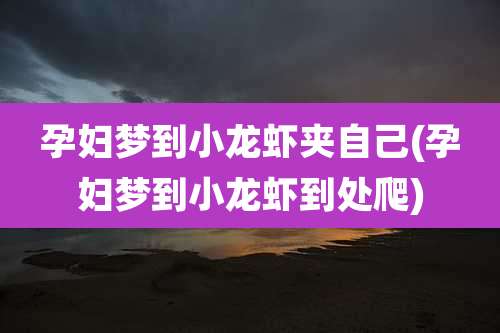 孕妇梦到小龙虾夹自己(孕妇梦到小龙虾到处爬)